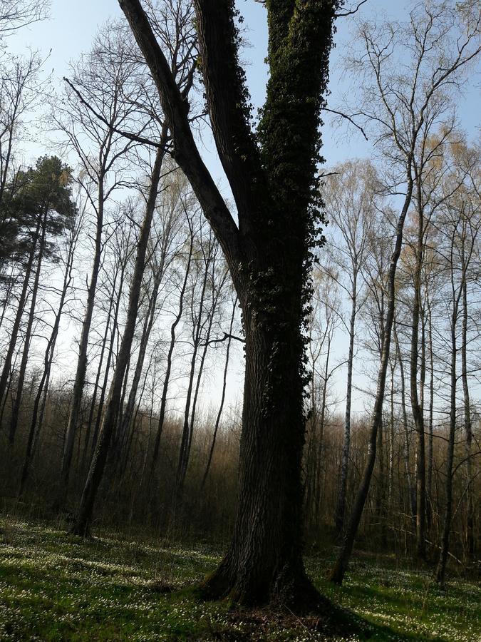 Лазурний Берег Pulemets 외부 사진
