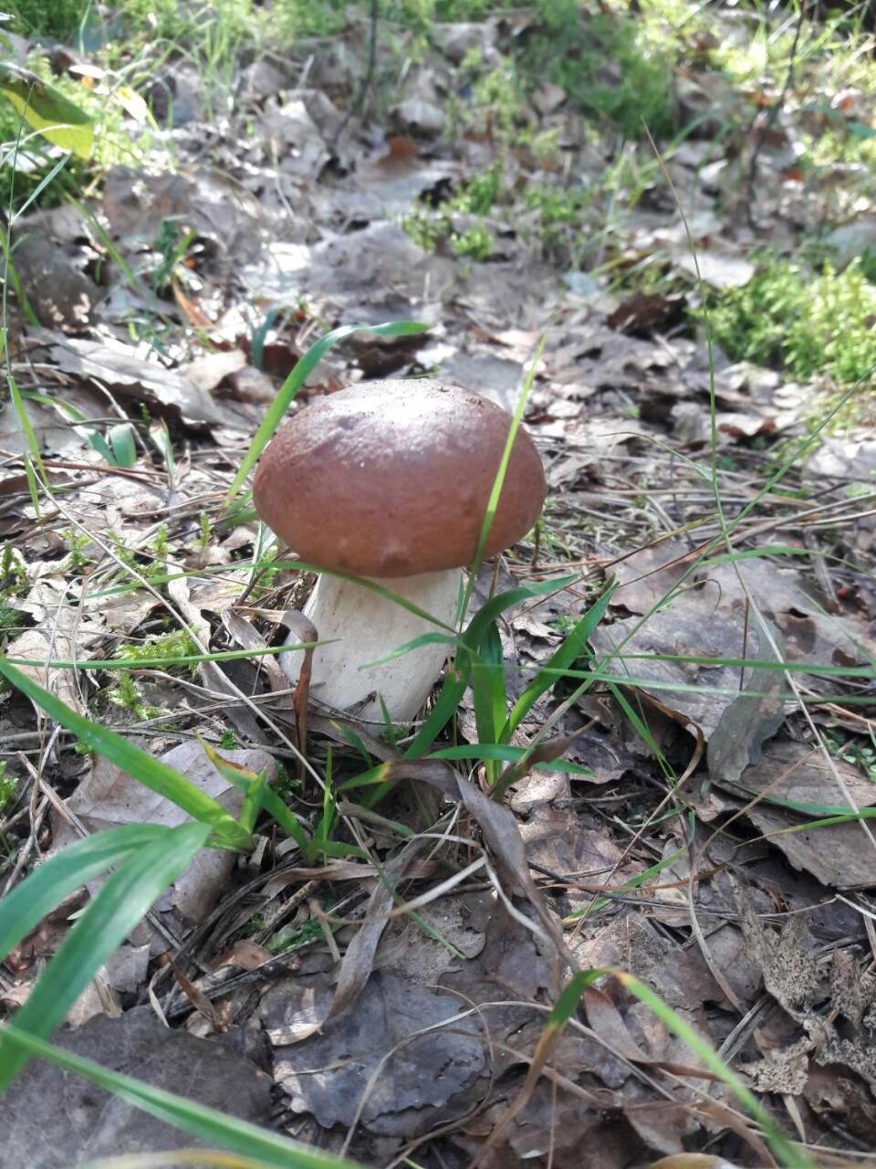 Лазурний Берег Pulemets 외부 사진
